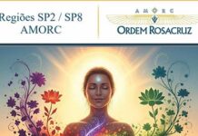 ERIN DE CARNAVAL – 14 a 17 de fevereiro de 2026 – Regiões SP2 e SP8