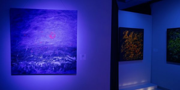 Exposição (IN)FINITUDES – de 02 a 25 de junho de 2026