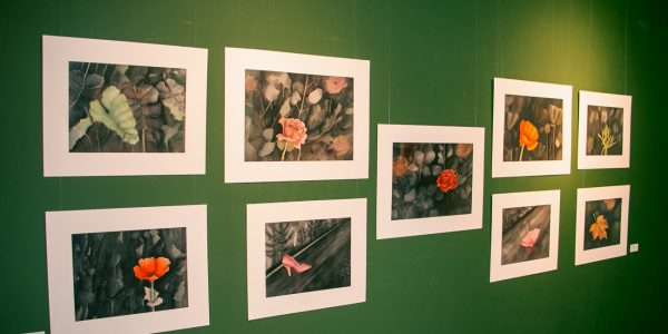 Exposição Sinfonia em Aquarela  – de 23 de abril a 23 de maio de 2024