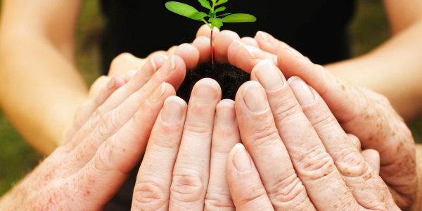 A Ecologia