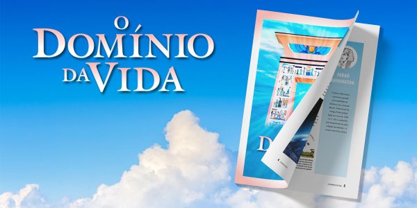 Compartilhamos nossa sabedoria